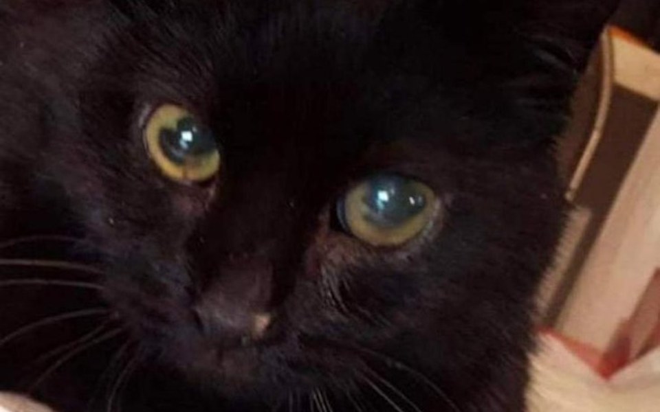 
        Zbiórka Na leczenie Batmana - zdjęcie główne
    