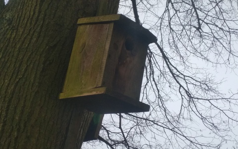
        Zbiórka Budki lęgowe dla ptaków - zdjęcie główne
    