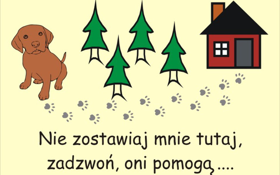 
        Zbiórka Pomóż psiakom - zdjęcie główne
    