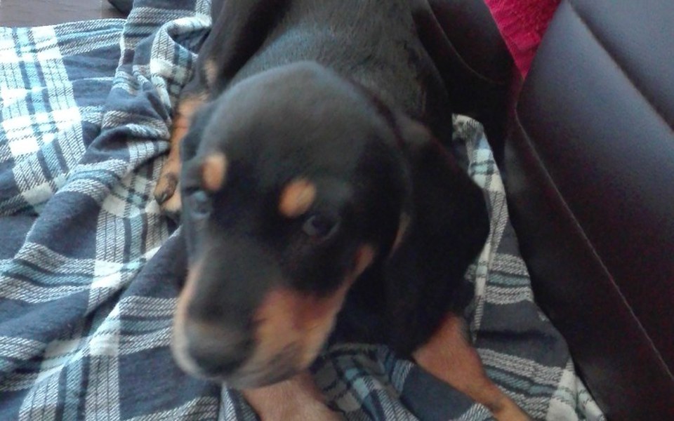 
        Zbiórka Małe i duże marzenia - zdjęcie główne
    