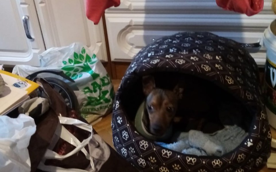 
        Zbiórka Środki na remont lub na bruk - zdjęcie główne
    