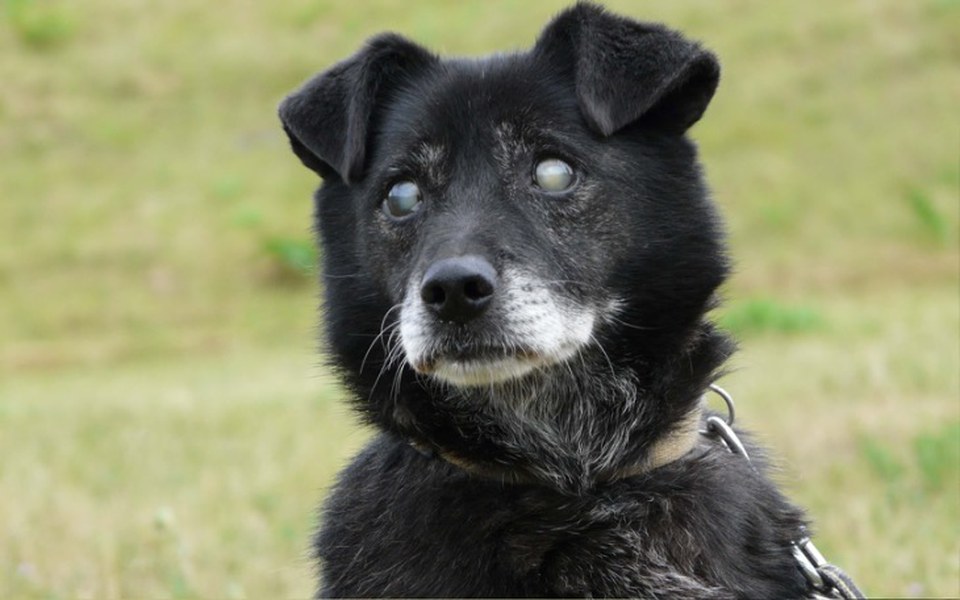 
        Zbiórka Na lepsze życie pomagam - zdjęcie główne
    
