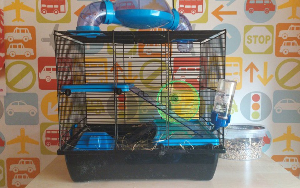 
        Zbiórka Lepsze warunki dla Gryzoni - zdjęcie główne
    