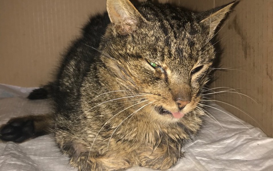 
        Zbiórka Pomoc dla Marcela - zdjęcie główne
    