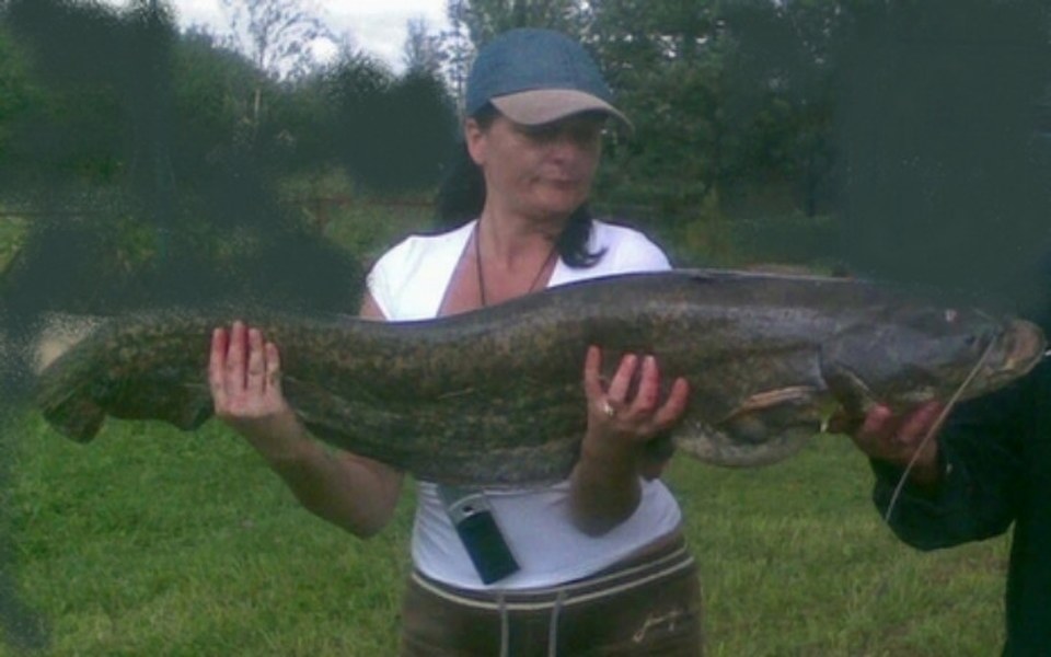 
        Zbiórka Żeby przeżyć - zdjęcie główne
    