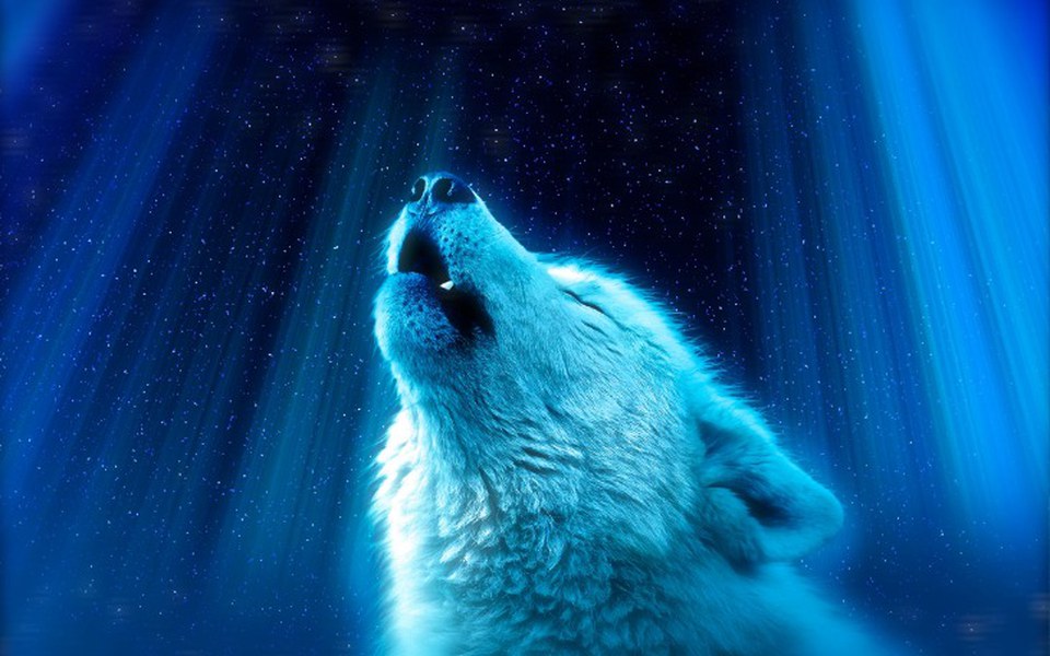 
        Zbiórka Pomagamy dla - zdjęcie główne
    