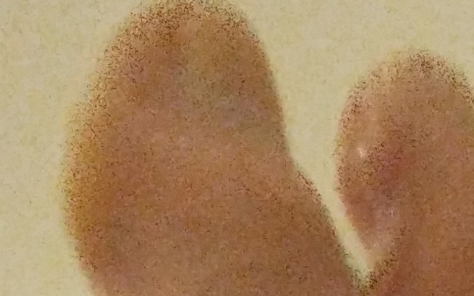 
        Zbiórka CZYŚCIEc - zdjęcie główne
    