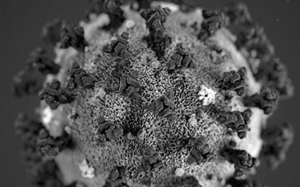 
        Zbiórka Walka z wirusem - zdjęcie główne
    