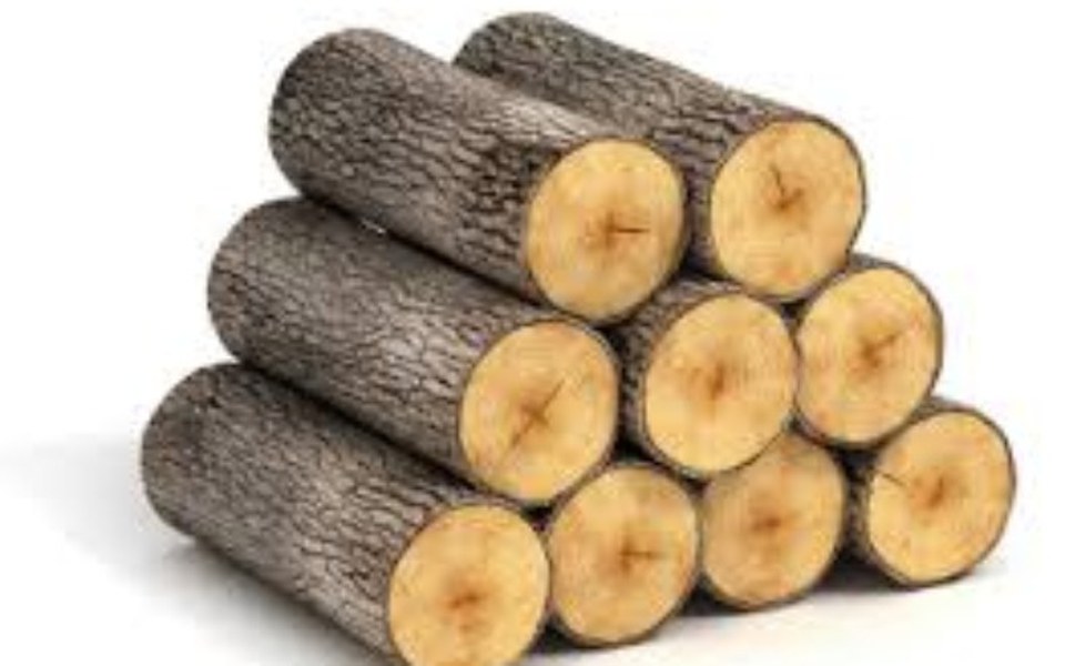 
        Zbiórka zbiurka na drewno do kajkuw - zdjęcie główne
    