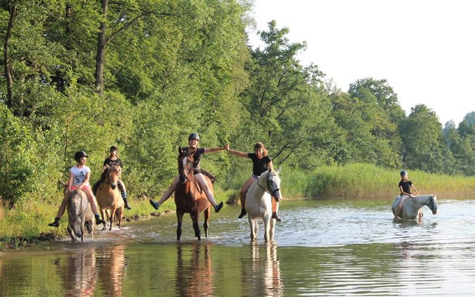 
        Zbiórka Konie potrzebują wsparcia - zdjęcie główne
    