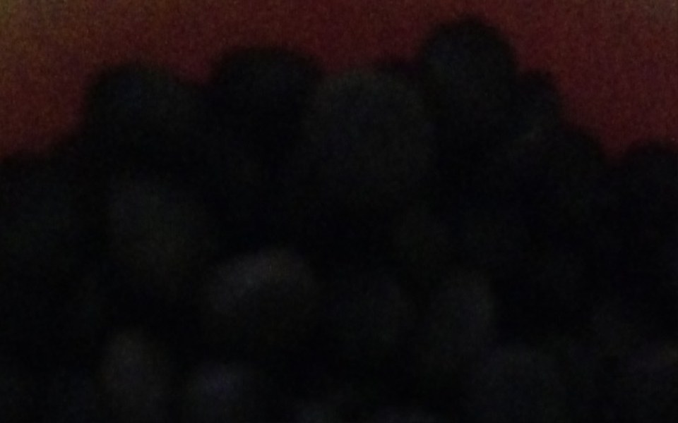 
        Zbiórka Psiara - zdjęcie główne
    