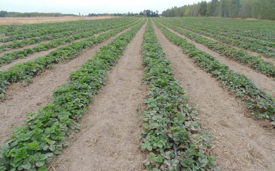 
        Zbiórka Rozpoczęcie Wymarzonej Budowy - zdjęcie główne
    