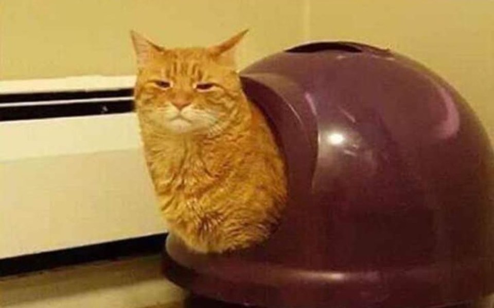 
        Zbiórka Na top - zdjęcie główne
    