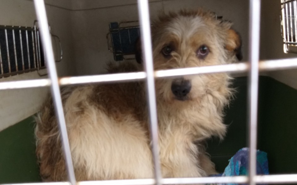 Zbiórka Radysy...miał być 1 są 3... - zdjęcie główne