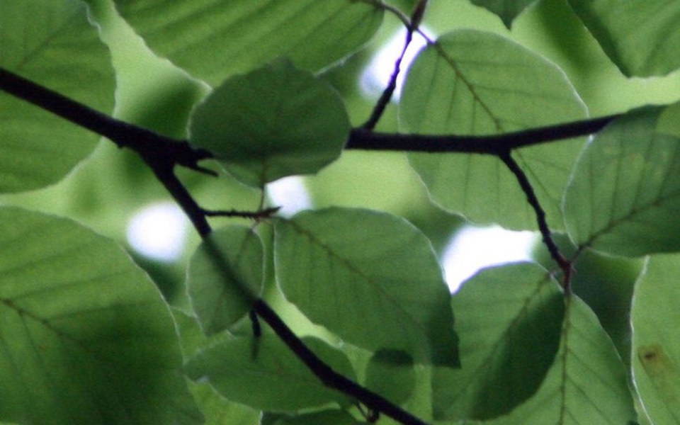 
        Zbiórka Na środki do zycia - zdjęcie główne
    