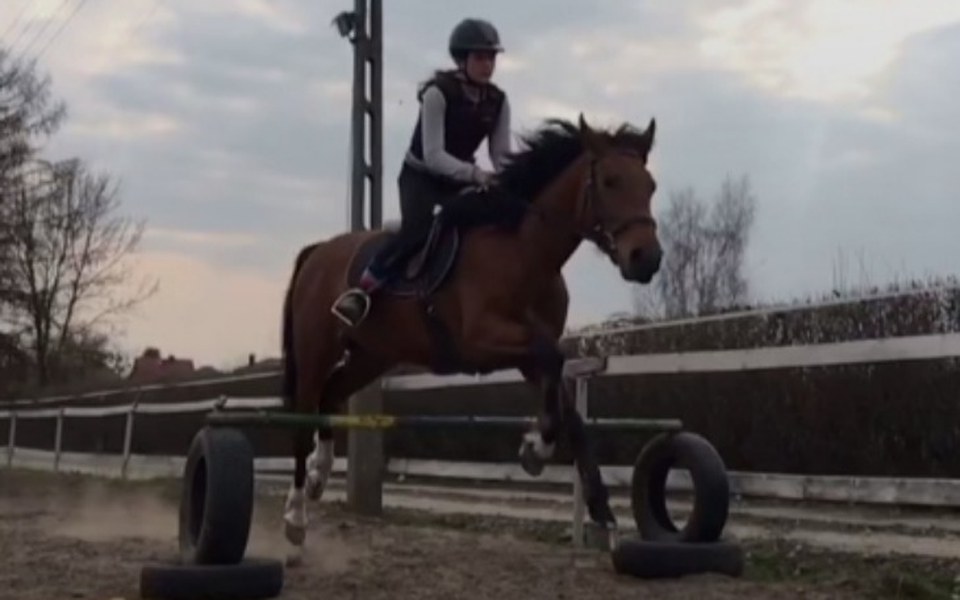 
        Zbiórka Na wielkie marzenie - zdjęcie główne
    