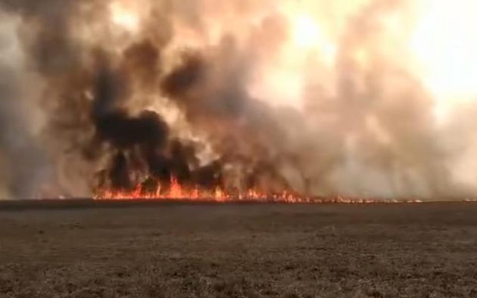 
        Pożar na polu, z dymem i płomieniami w tle.
    