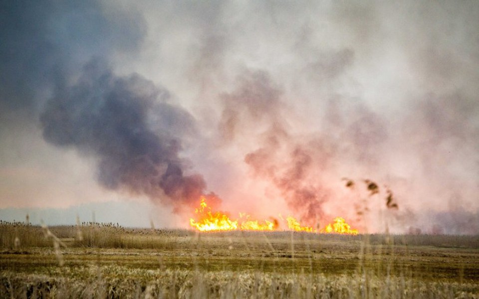 
        Zbiórka Ugasmy Biebrzanski PN - zdjęcie główne
    