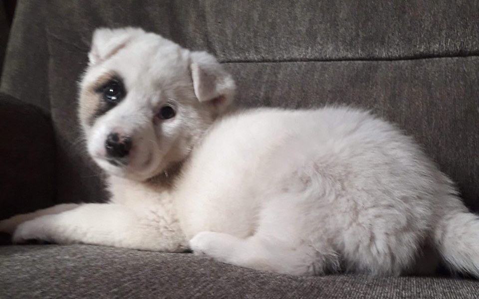 
        Zbiórka Pomoc wyrzuconemu maleństwu - zdjęcie główne
    