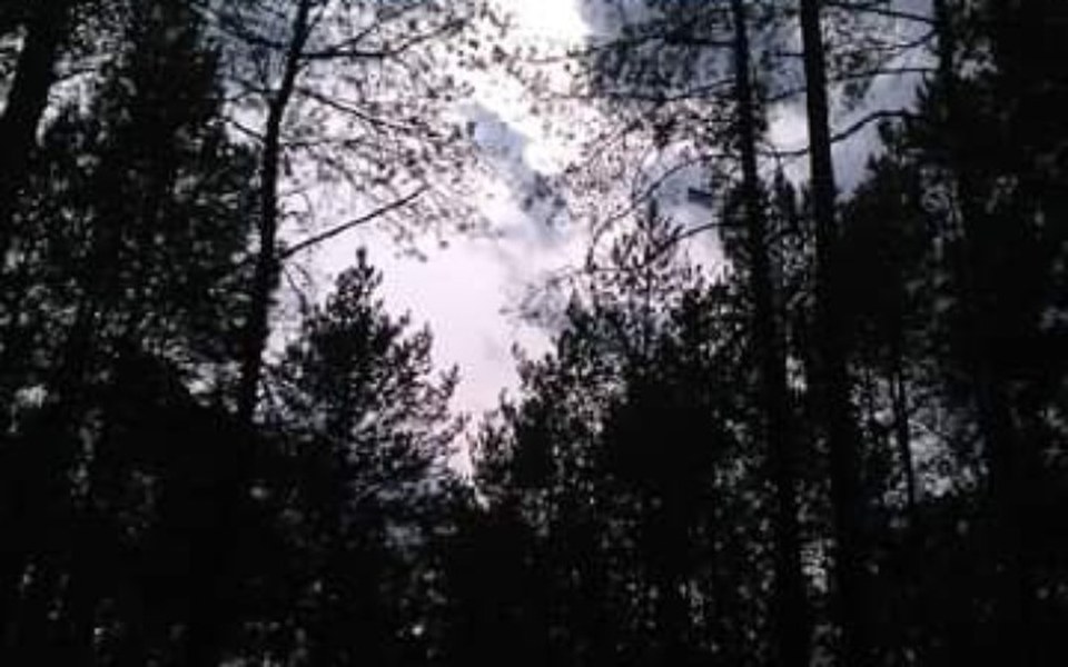 
        Zbiórka Pomagamy samotnej mamie - zdjęcie główne
    