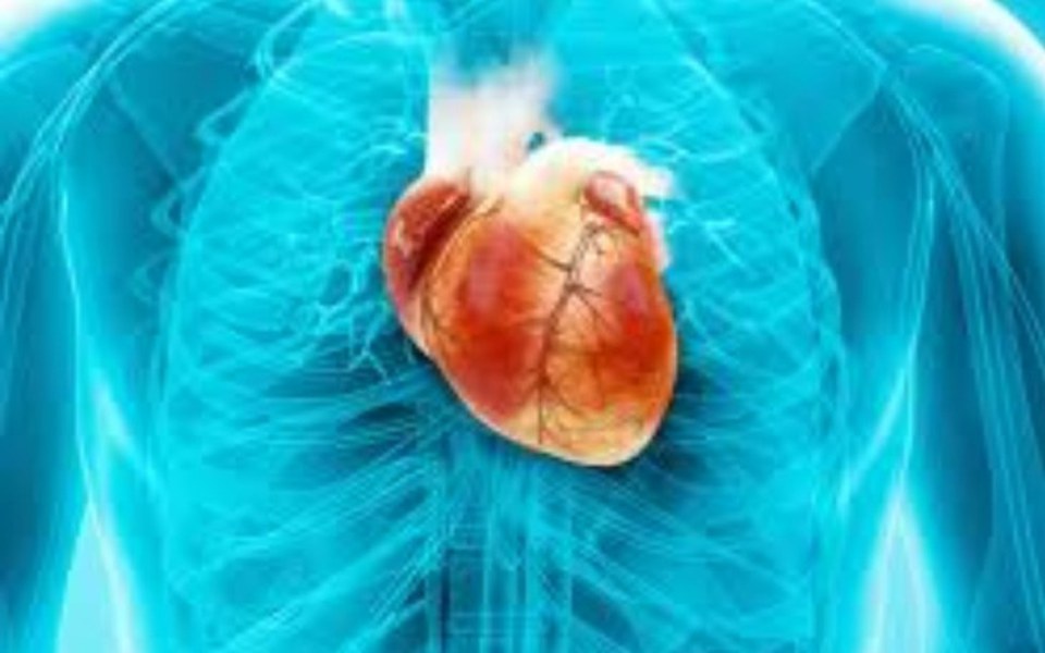 
        Zbiórka Problemy z sercem - zdjęcie główne
    