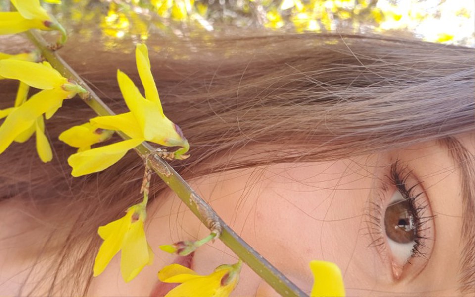 
        Zbiórka Wymarzony kierunek studiów - zdjęcie główne
    