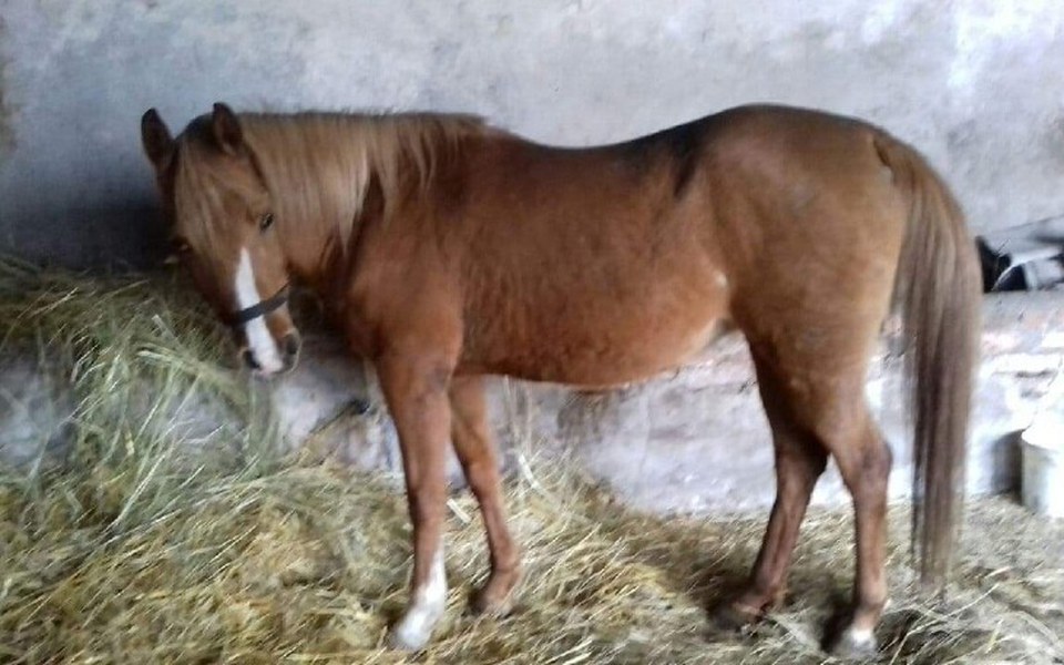 
        Zbiórka Pomóżmy Marcinowi - zdjęcie główne
    