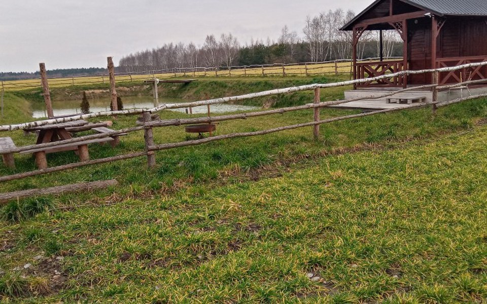 
        Zbiórka Zbieram na woliere dla ptakow - zdjęcie główne
    