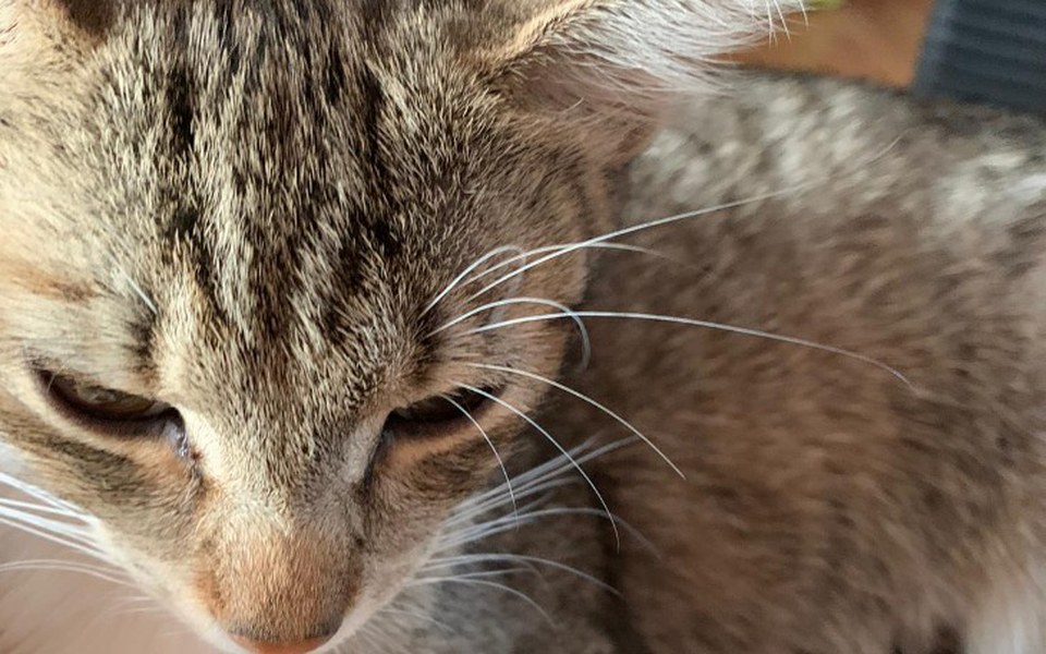 
        Zbiórka Wiktorka walczy o Życie - zdjęcie główne
    