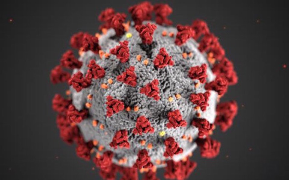 
        Zbiórka Środki na życie w dobie pandemii - zdjęcie główne
    