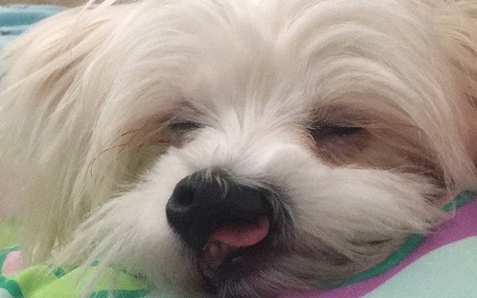 
        Zbiórka Pomóż Olusiowi - zdjęcie główne
    