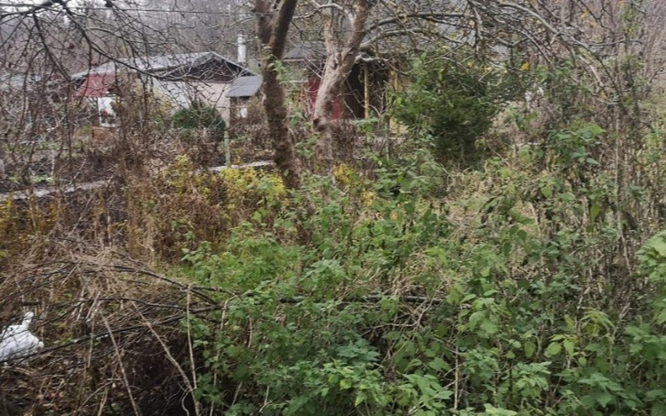 
        Zbiórka Na odbudowę spalonego domu. - zdjęcie główne
    