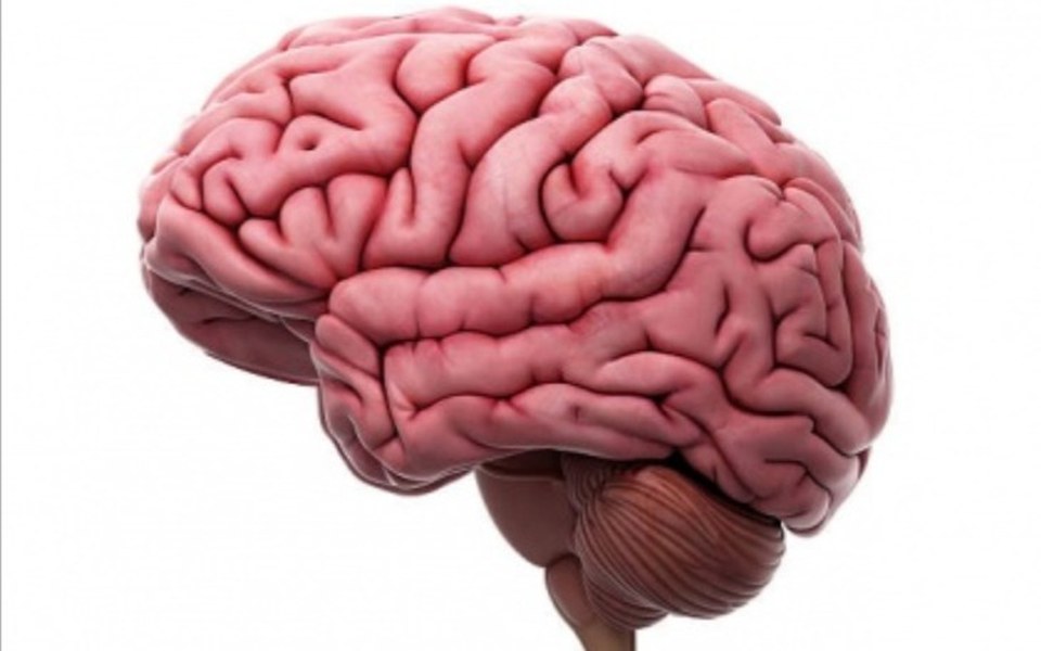 
        Zbiórka Zbieram na mózg - zdjęcie główne
    