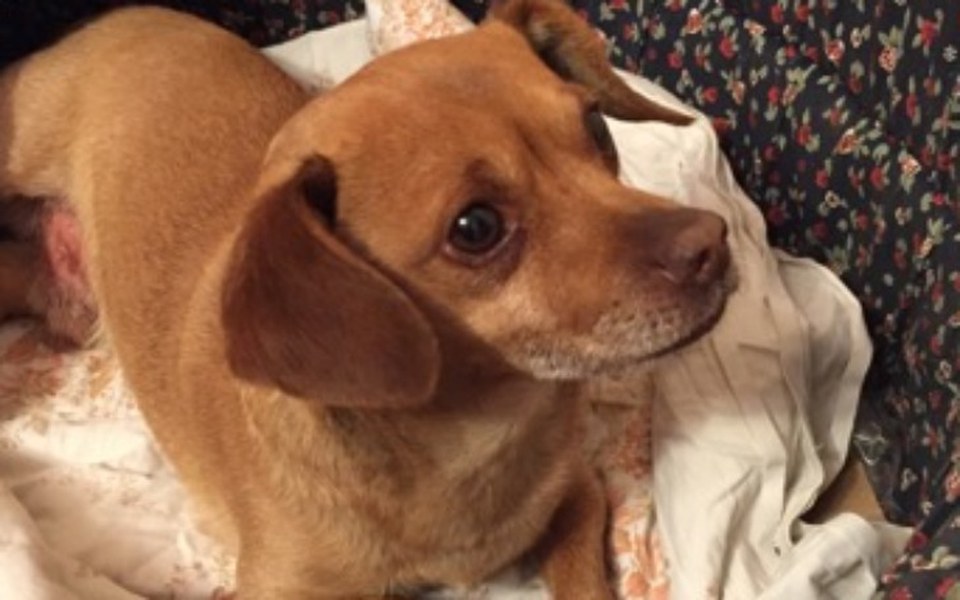 
        Zbiórka Ratujmy połamanego Kajtusia - zdjęcie główne
    