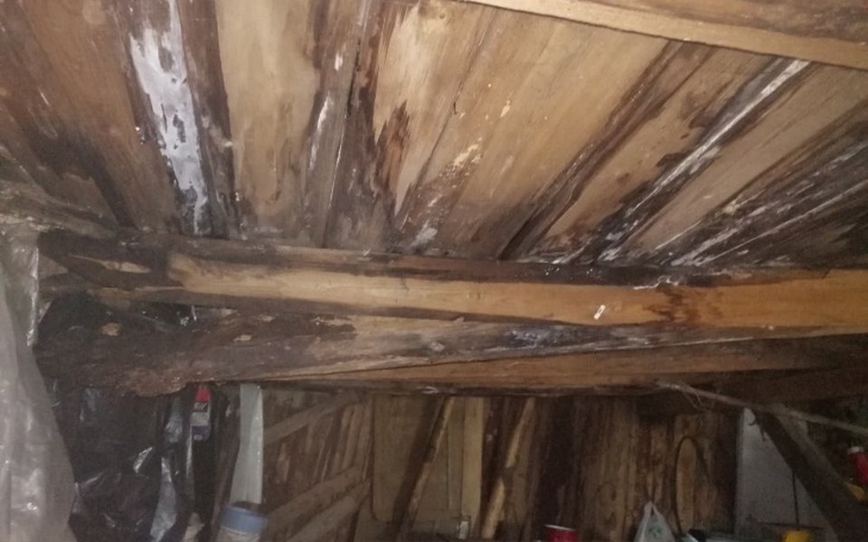 
        Zbiórka Ratunek dobytku - zdjęcie główne
    