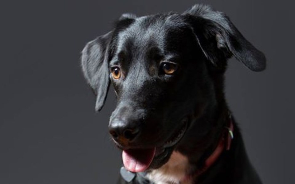 
        Zbiórka Rezonans magnetyczny Sidy - zdjęcie główne
    