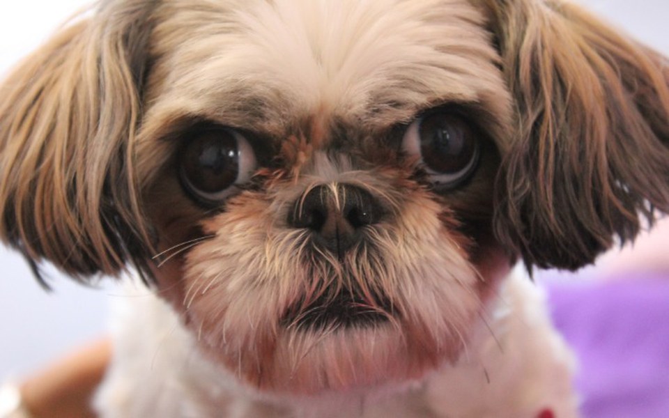 
        Zbiórka Walka z chłoniakiem złośliwym - zdjęcie główne
    