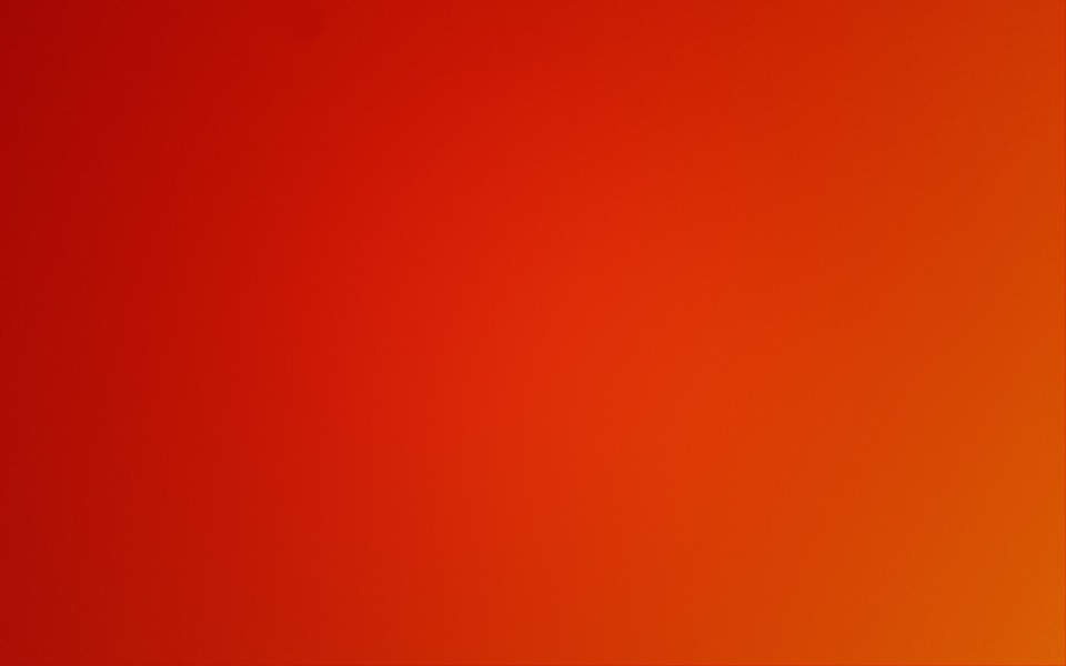 
        Zbiórka Zbiórka na włosy - zdjęcie główne
    