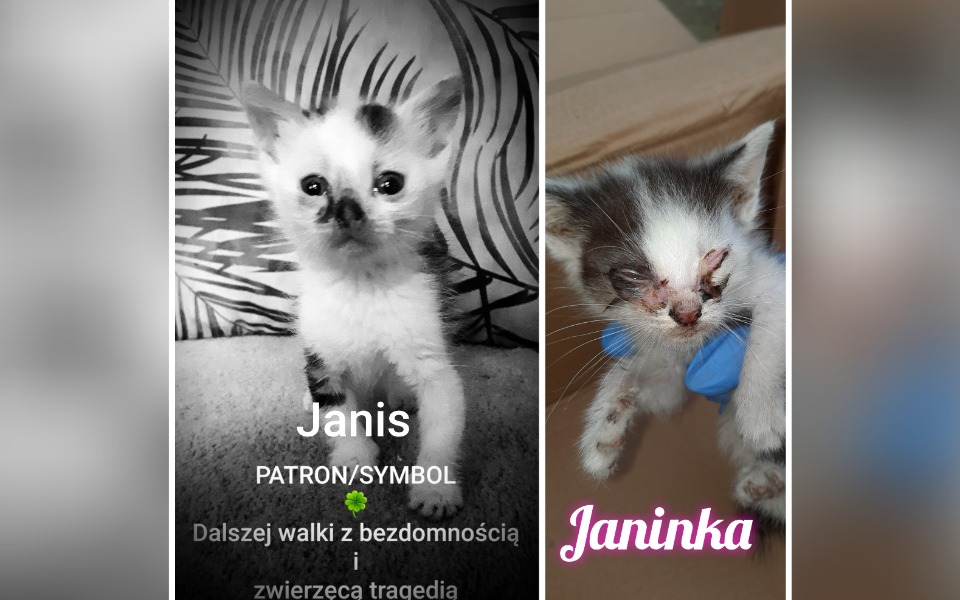 
        Zbiórka Janiskowa skarbonka/Janinka - zdjęcie główne
    