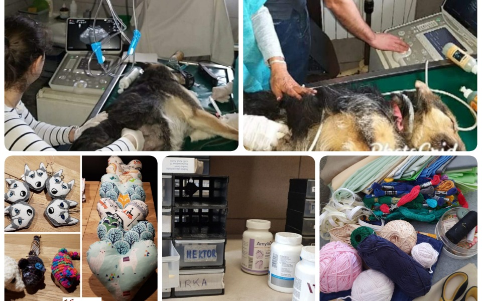 
        Zbiórka Brak środków to koniec pomagania - zdjęcie główne
    