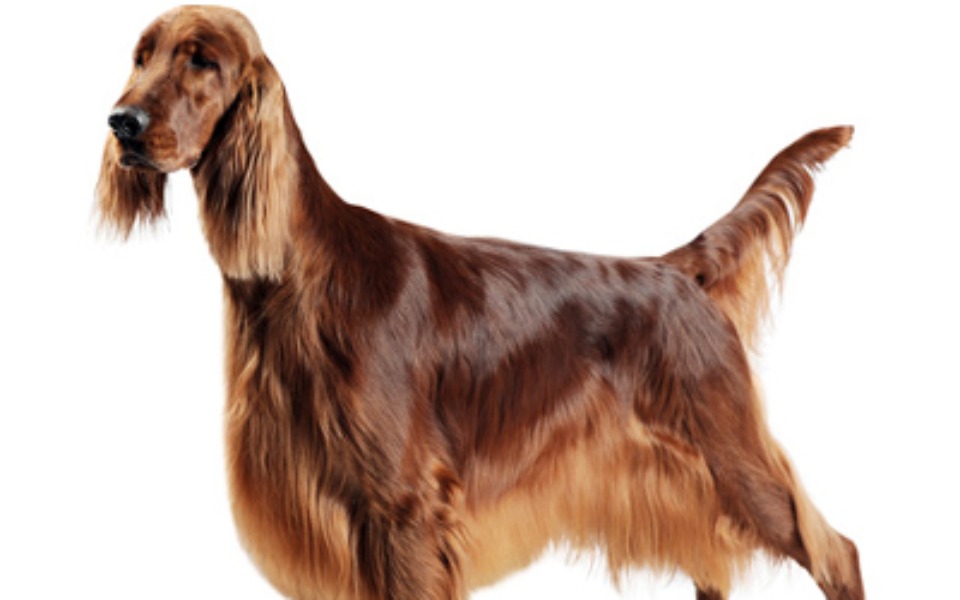 
        Zbiórka Na długi bo się zadluzylem - zdjęcie główne
    