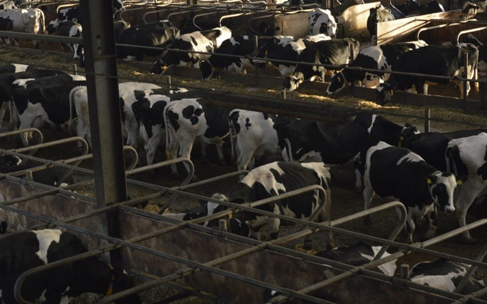 
        Zbiórka Zdążyć przed śmiercią . - zdjęcie główne
    