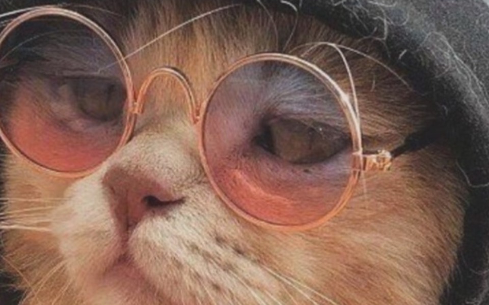 
        Zbiórka Na moje kolorowe marzenie - zdjęcie główne
    