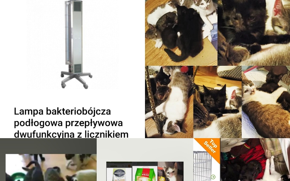 Zbiórka Lampa przepływowa bezdomniaczków - zdjęcie główne