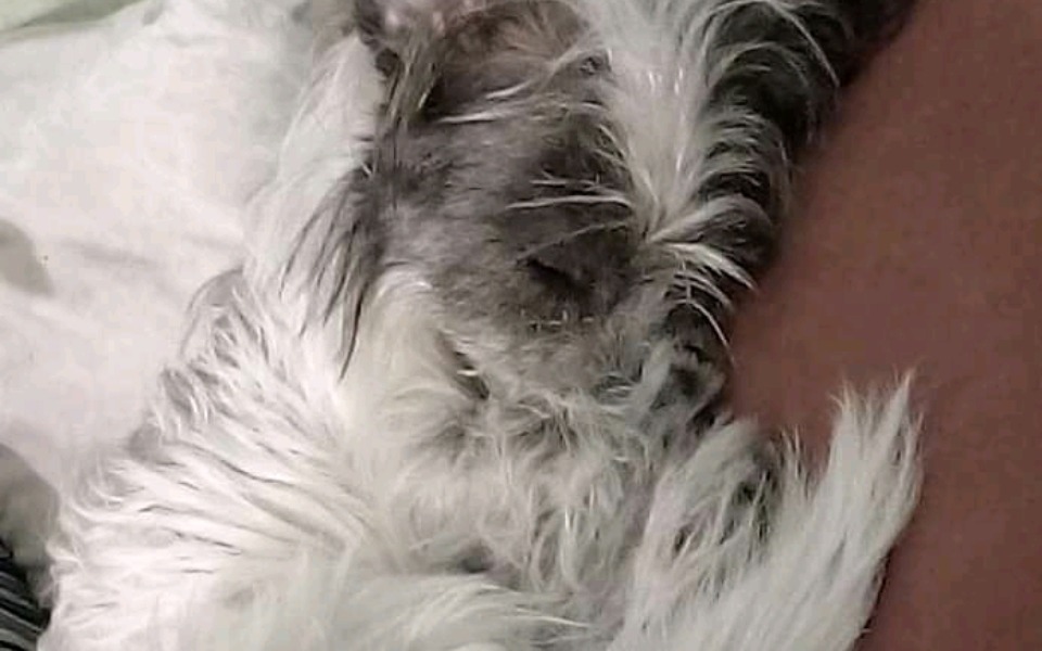 
        Zbiórka Pomagam mery - zdjęcie główne
    