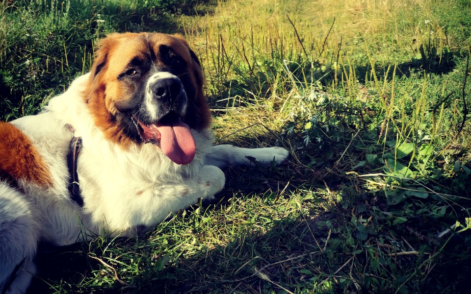 
        Zbiórka Operacja Berrusia - zdjęcie główne
    