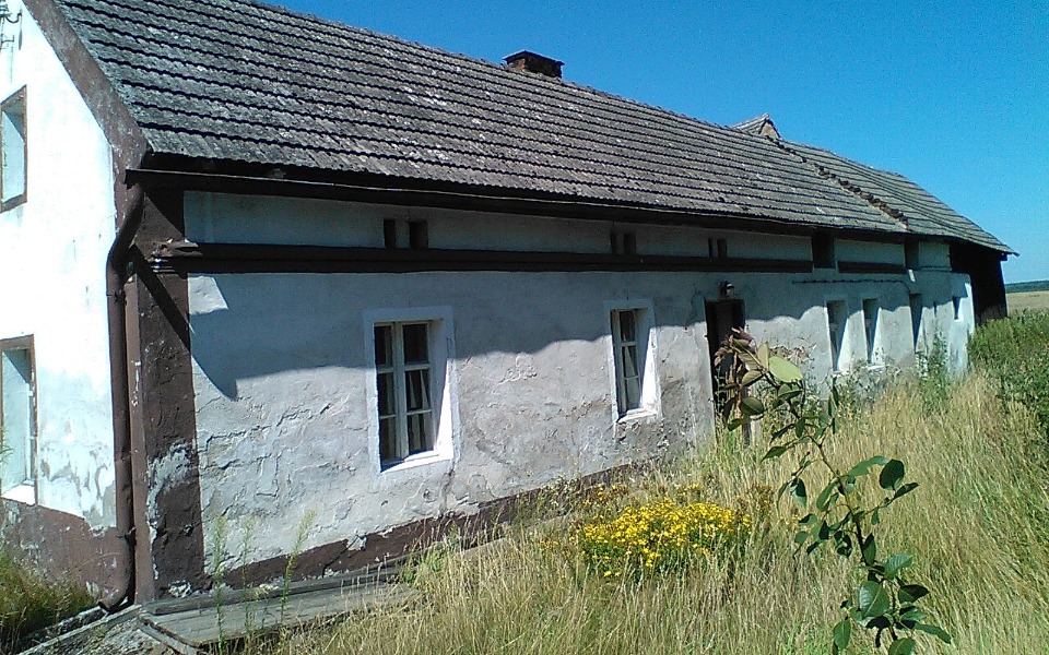 
        Zbiórka Dom dla Halinki i Jerzyka - zdjęcie główne
    