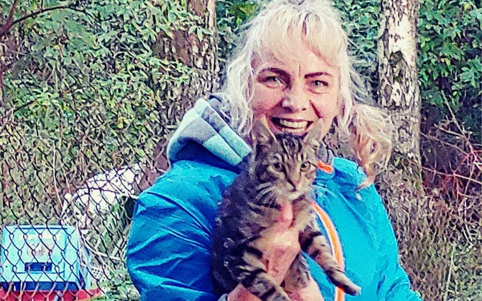 
        Zbiórka POMOC dla kotow - zdjęcie główne
    