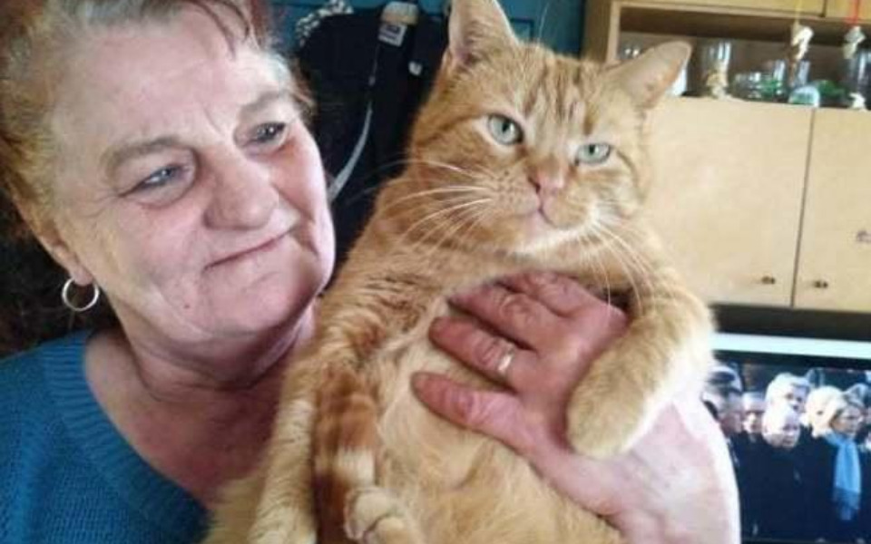 
        Zbiórka Pozwól Pani przeżyje święta - zdjęcie główne
    