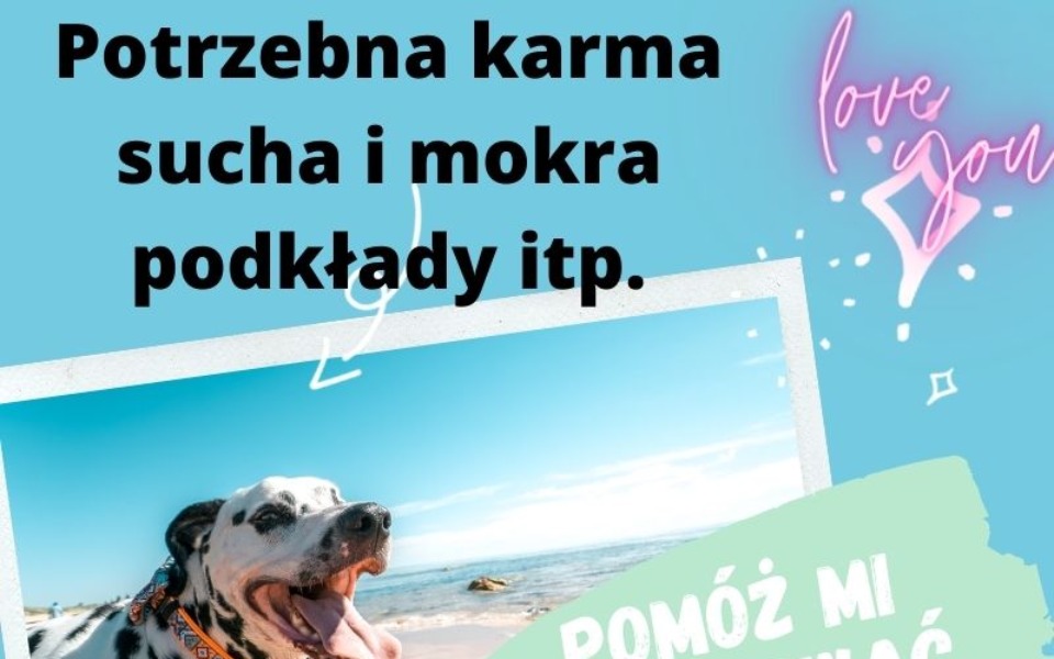 
        Zbiórka Na pomoc małym psiakom - zdjęcie główne
    